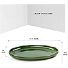 vicrays Ceramic Serving Platter Tray - Extra Large Oval 14.5 Inch Porcelain Dinner Plates Long Serving Dish Set - for Party Restaurant Food Meat Sushi Fish Turkey Platter - Green