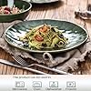 vicrays Ceramic Dinner Plates Set, 10.5 Inch, Set of 6, Round, Microwave, Oven, Dishwasher Safe, Scratch Resistant, Porcelain Fluted Suitable for Steak, Pasta, Pizza, Home, Restaurant, Green