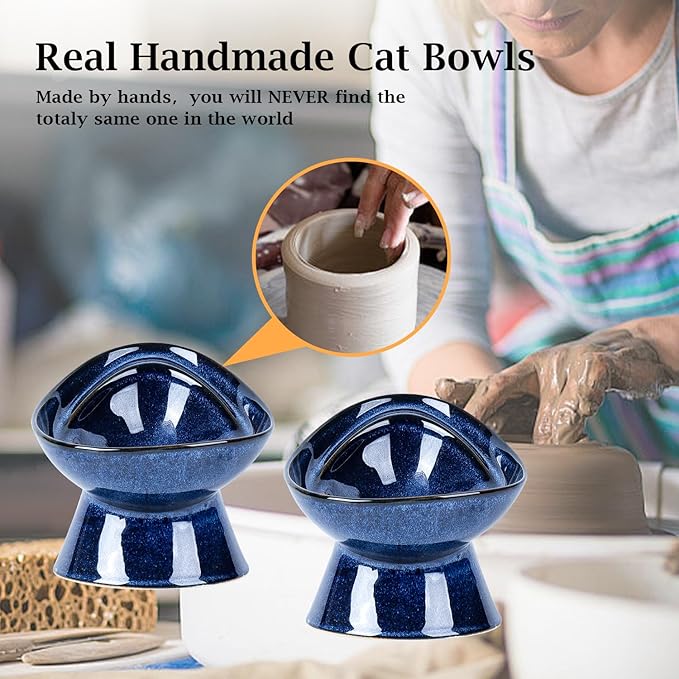 Vicrays Ceramic Cat Bowl Set - Cat Food Feeding Bowls for Indoor Cats, Whisker Friendly Cute Cat Dish Plates, Microwave &amp; Dishwasher Safe, 2 Pack, 11 oz, 6.4 inch, Blue