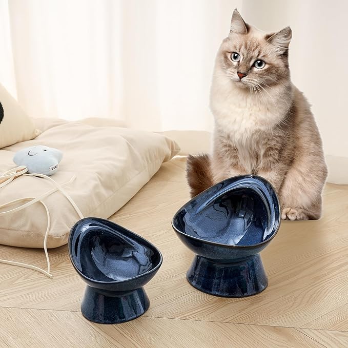 Vicrays Ceramic Cat Bowl Set - Cat Food Feeding Bowls for Indoor Cats, Whisker Friendly Cute Cat Dish Plates, Microwave &amp; Dishwasher Safe, 2 Pack, 11 oz, 6.4 inch, Blue