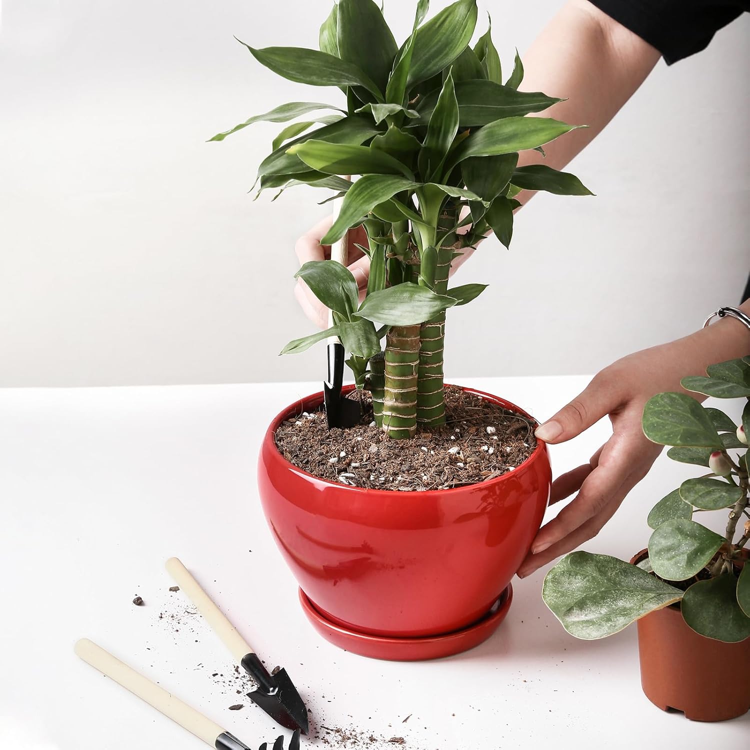 vicrays Ceramic Plant Pots Indoor - 6.5 Inch Planter Pot with Drainage Hole and Saucer for Succulent Orchid Flower Herbs Cactus - Ideal for Gardening Home Desktop Office Decor - Red