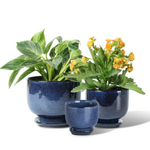 vicrays Ceramic Plant Pots Indoor - 6.8/5.5/4.3 Inch Planter Pot with Drainage Hole and Saucer for Succulent Orchid Flower Herbs Cactus - Gardening Home Desktop Office Decor – Set of 3 Starry Blue